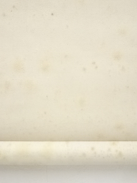 道具 ] - 道具 吉水宗白筆 玉に寿 肉筆紙本掛軸（共箱） | ネット